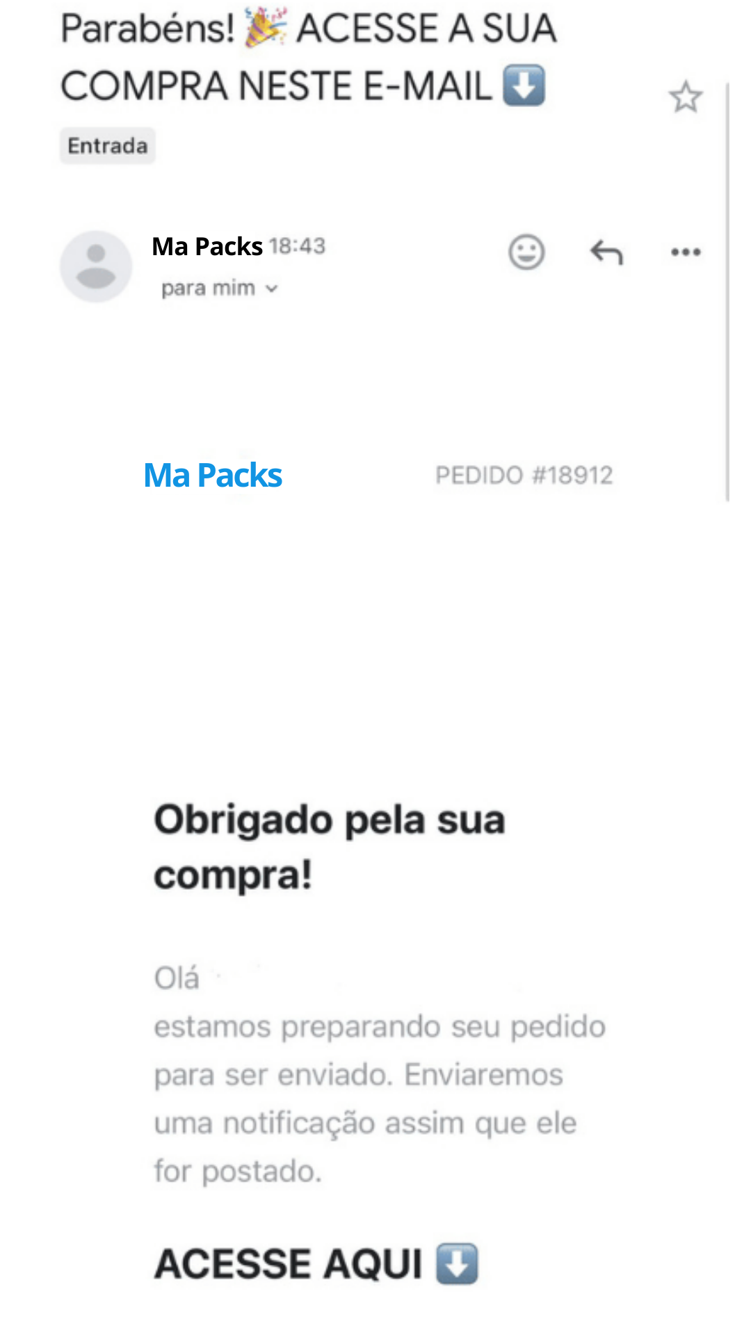 Exemplo de e-mail com acesso